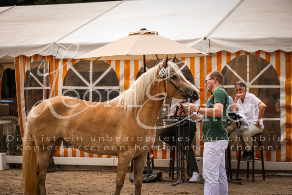 06.So00031 | Leoni Ertmer Photography - Realisiert mit Pictrs.com