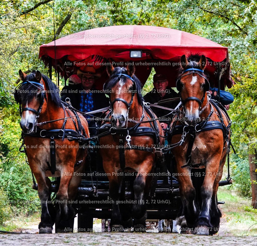 BMF07242_3-01_2 | krollfotografie - Realisiert mit Pictrs.com