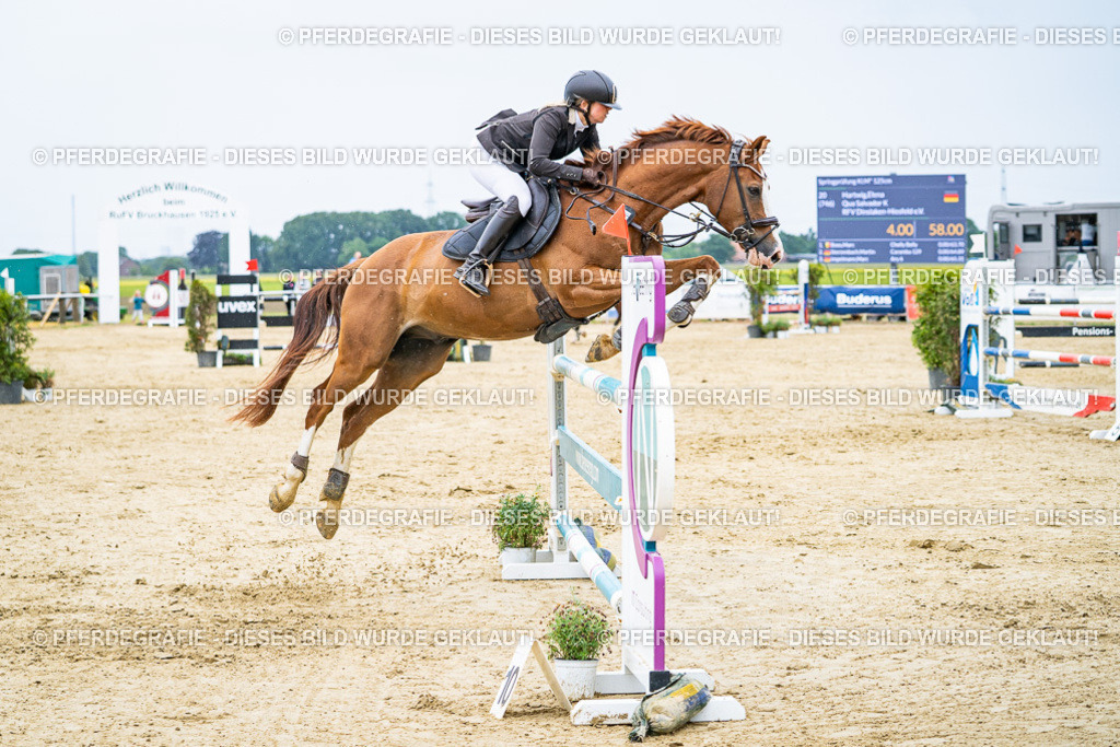 DSC07221 | Pferdegrafie