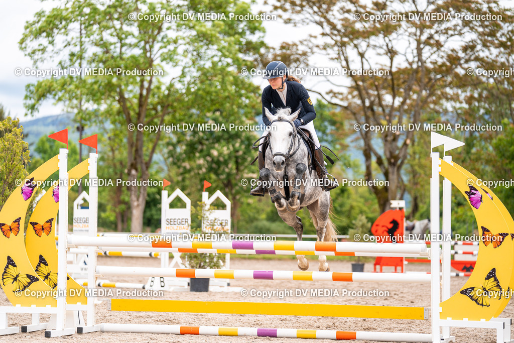 Eppelheim Tag 1-88 | dv-media-shop - Realisiert mit Pictrs.com