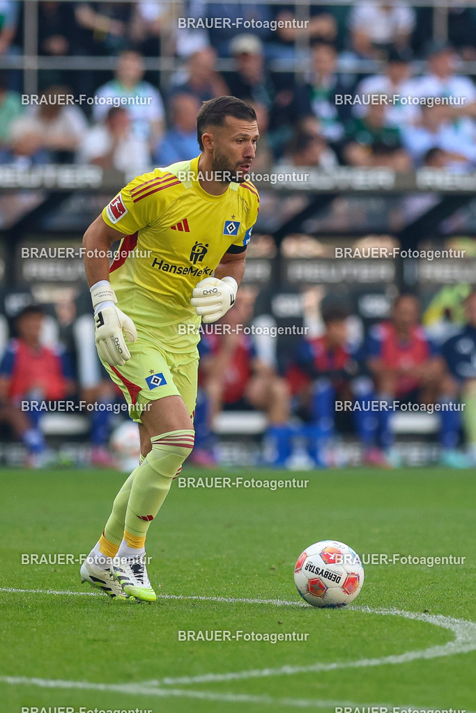Borussia Mönchengladbach vs Hamburger SV - Bundesliga  | Mönchengladbach, Deutschland, 24.08.25:   Daniel Heuer Fernandes (Hamburger SV) in Aktion am Ball, Einzelaktion waehrend des Spiels der Bundesliga zwischen Borussia Mönchengladbach vs Hamburger SV im Stadion im Borussia Park(Foto von Brauer-Fotoagentur / Adrian Schlueter)