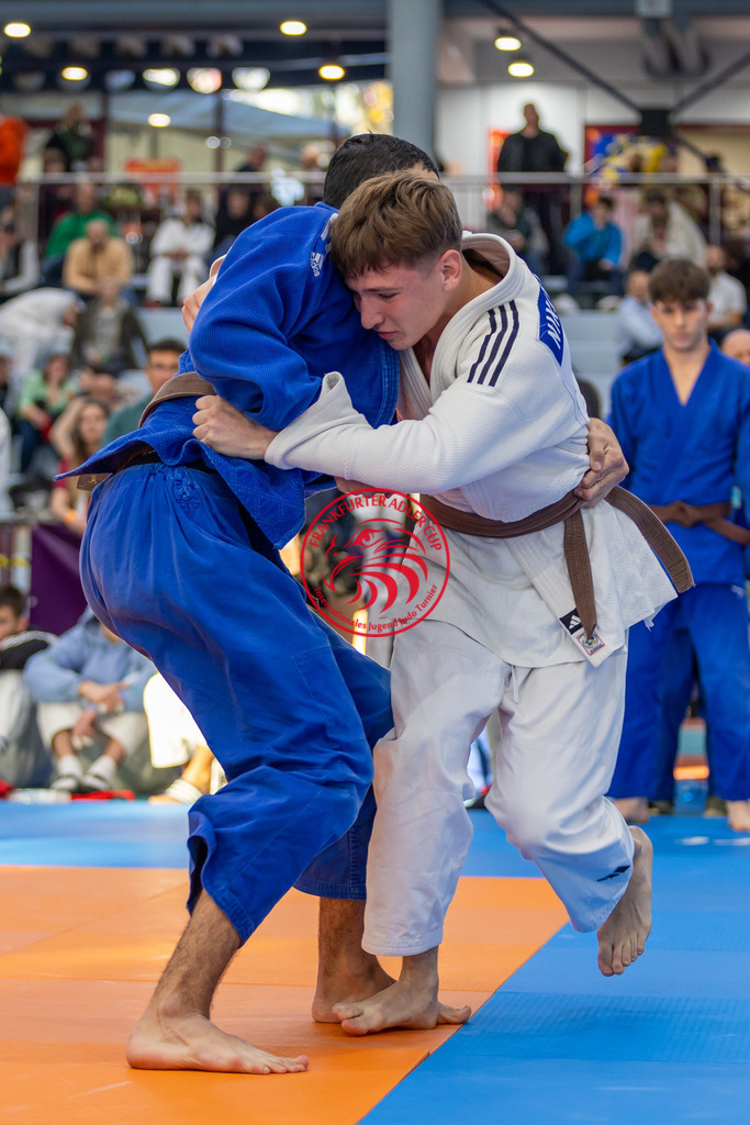 Internationaler Adler Cup 2024 | Foto vom Internationalen Adler Cup Judo Turnier im Sport- und Freizeitzentrum Kalbach im Oktober 2024 - Realisiert mit Pictrs.com