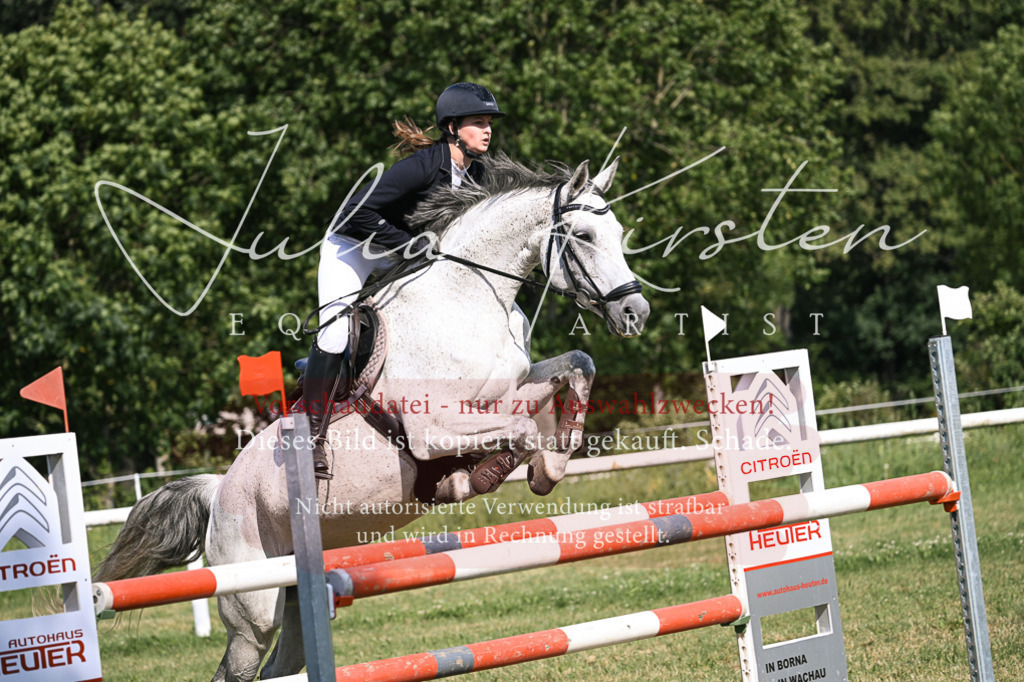 DSC_1055 | Pferde- und Turnierfotografie in Westsachsen. Pferdeportraits, Auftragszeichnungen und intuitive Kunst.