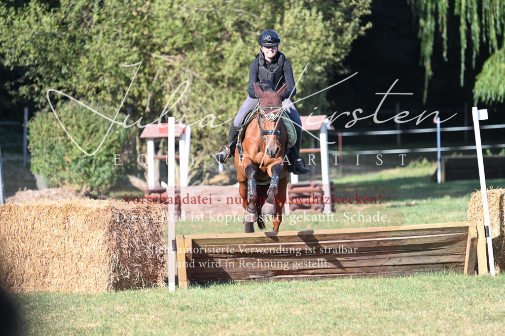DSC_8978 | Pferde- und Turnierfotografie in Westsachsen. Pferdeportraits, Auftragszeichnungen und intuitive Kunst.
