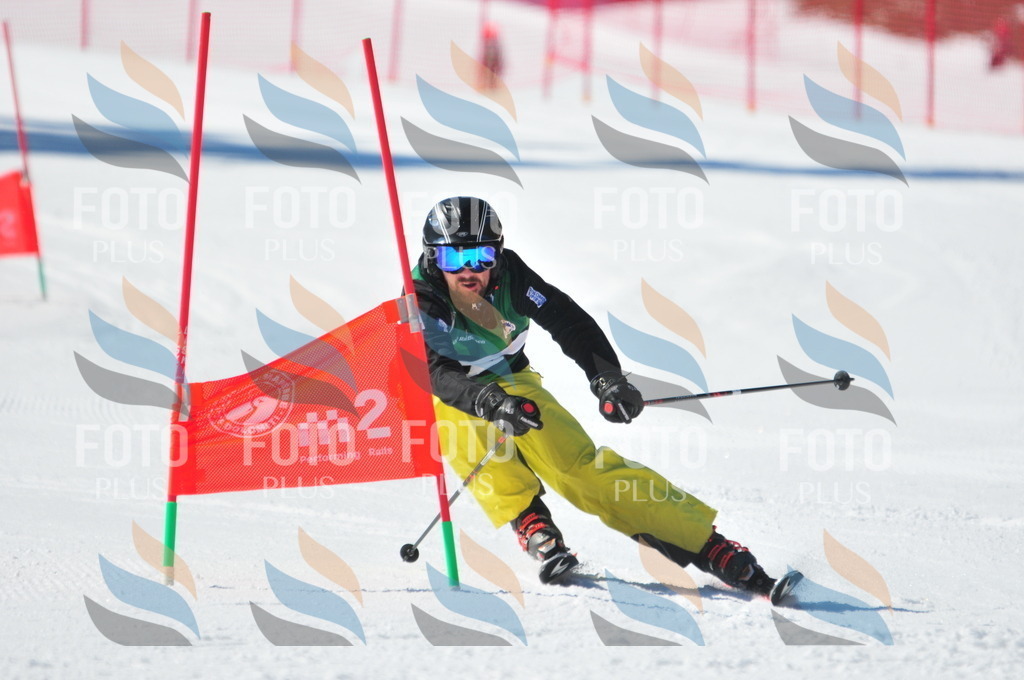 C3378 | holidayphoto