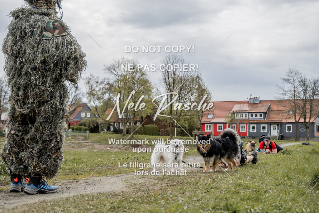 NR__2599 | nelerasche