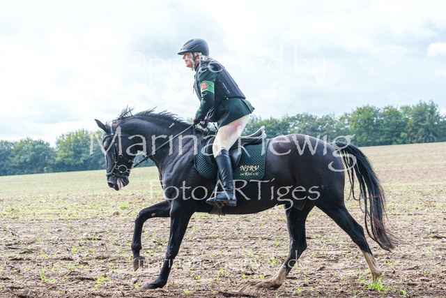 Jagd Perdoel 26 Sony-04098_MarinaHewig | Fotografie, FotoArt, PferdesportArt, Pferdesportfotografie, Landschaftsfotografie, Reisefotografie, Reise, Pferde - Realisiert mit Pictrs.com