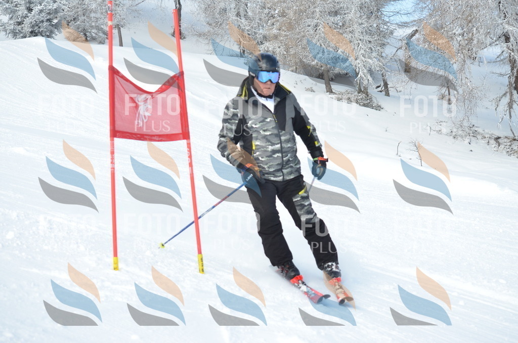 D8805 | holidayphoto