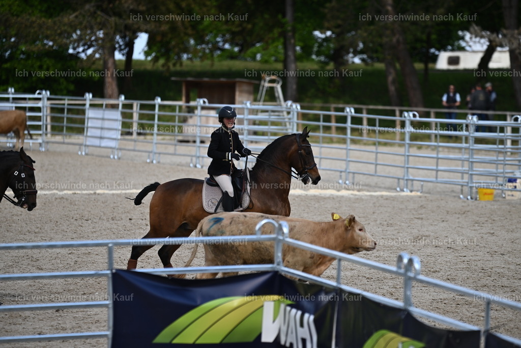 PI26_COW_Sara Landvogt226_7275.JPG | working equitationturnier fotograf videograf stoibphotography marixx film working equitation deutschland reitsport turnierfotografie eventfotografie equestrian events