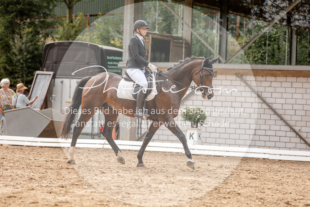 3I6A3820 | Stimmungsvolle Portraits und Reitsportfotografie im Ruhrgebiet und im Münsterland.

Pferdefotografie, Hundefotografie, Tierfotografie, Reportagen, Portraits von Tier und Mensch, Turnierfotografie in Bochum, Recklinghausen, Marl, Haltern am See, Dülmen.. - Realisiert mit Pictrs.com