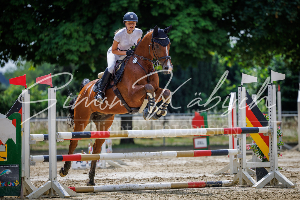 20260705-_3LI4596 | Tierfotografie Pferde, Hunde, Katzen, Haustiere.
Turnierfotografie Reitturniere, Reiten, Springreiten, Dressur in Hanau, dem Main-Kinzig-Kreis und dem Rhein-Main- Gebiet um Frankfurt