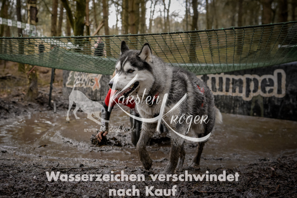 1010_ZZ90083 | kk-dogfotos