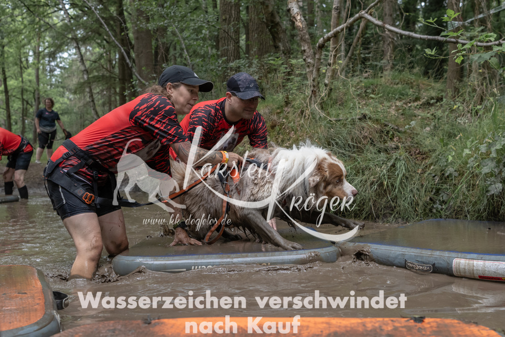 1327_ZZ94094 | kk-dogfotos