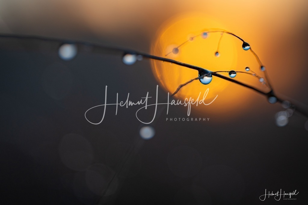 DSC03558 | Landschaftsfotografie, Naturfotografie - Realisiert mit Pictrs.com