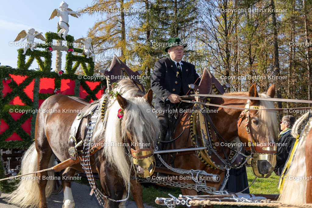 LBT24-1140 | foto-bettina-krinner - Realisiert mit Pictrs.com