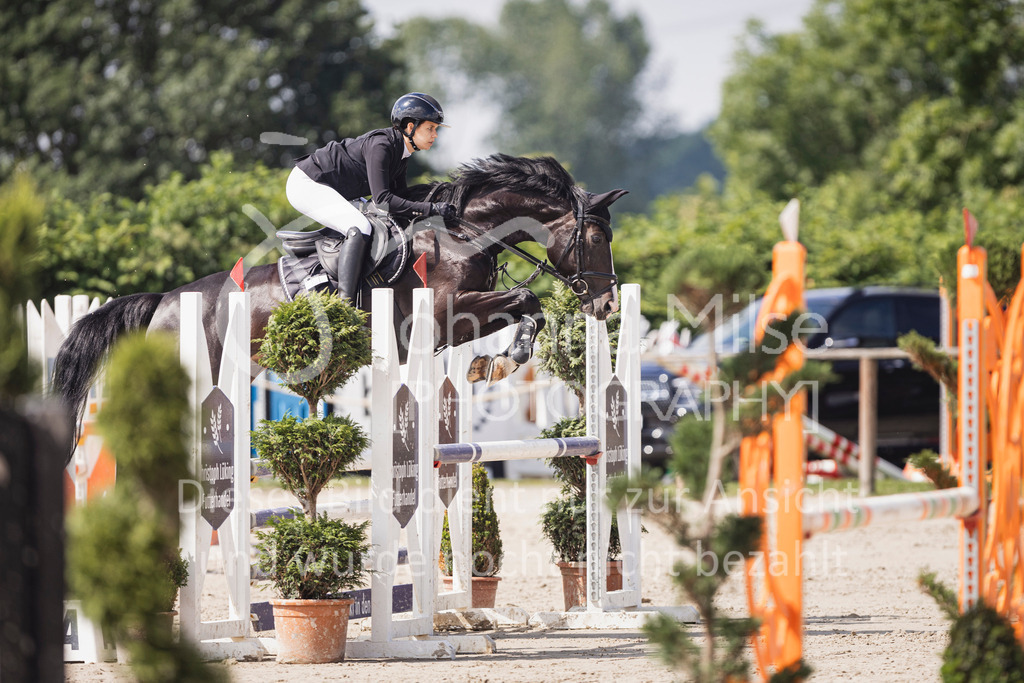 250628_PfSpTa_A2-Spr-219 | Deine schönsten Turniermomente als professionelle Fotos! Entdecke hochwertige Pferdesport-Fotografie im Online-Shop. Jetzt Fotos finden & bestellen!