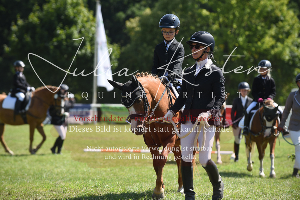 DSC_9725 | Pferde- und Turnierfotografie in Westsachsen. Pferdeportraits, Auftragszeichnungen und intuitive Kunst.