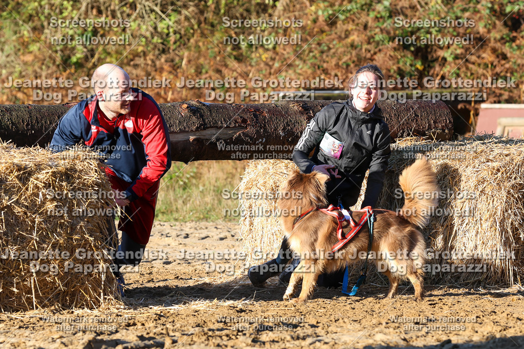 Dog Paparazzi - Strongdog 10-25-1092 | Dog Paparazzi Jeanette Grottendiek Fotografie & Videografie - Realisiert mit Pictrs.com
