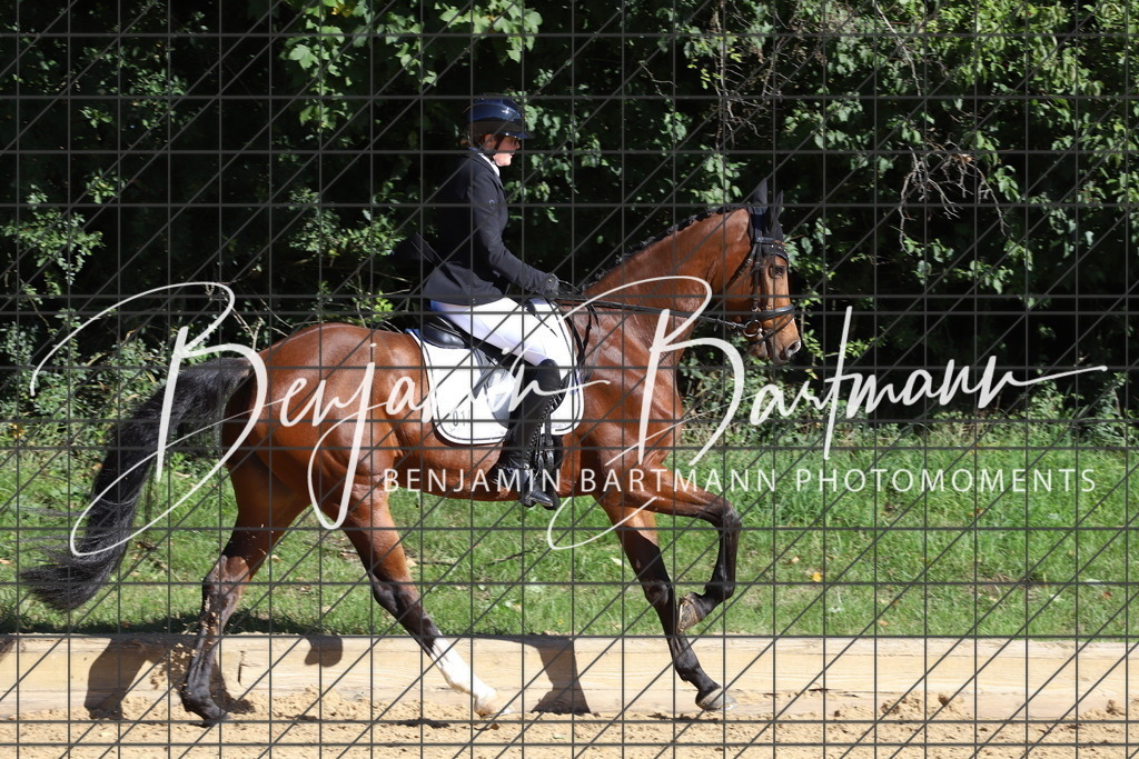 IMG_5418 | Benjamin Bartmann Photomoments