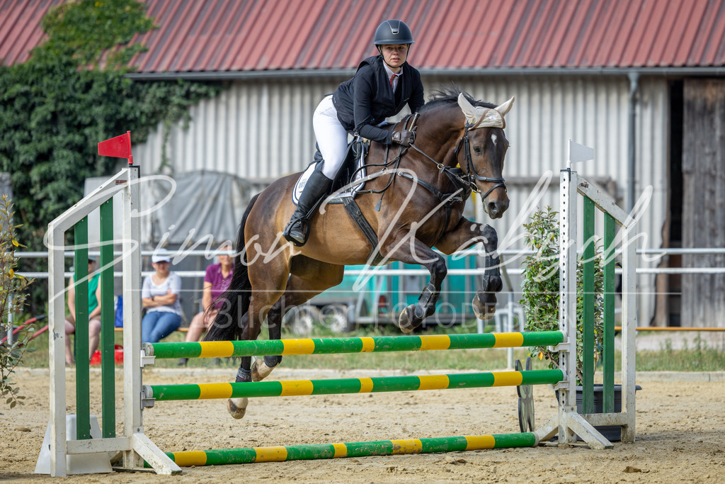 20260704-_3LI6447 | Tierfotografie Pferde, Hunde, Katzen, Haustiere.
Turnierfotografie Reitturniere, Reiten, Springreiten, Dressur in Hanau, dem Main-Kinzig-Kreis und dem Rhein-Main- Gebiet um Frankfurt