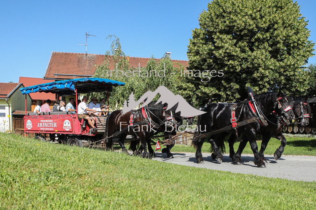 OE7A8259 | Medien- Sport- Entertainmentfotos