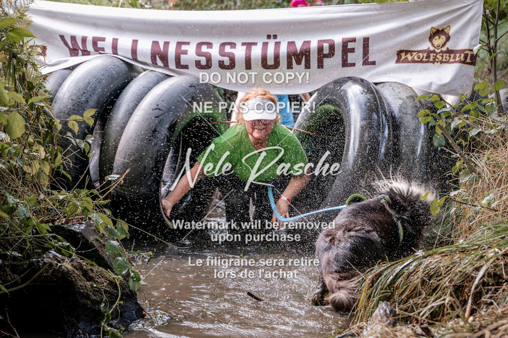 nelerasche_Hunsrück2026_Sa1400-1500_92 | nelerasche