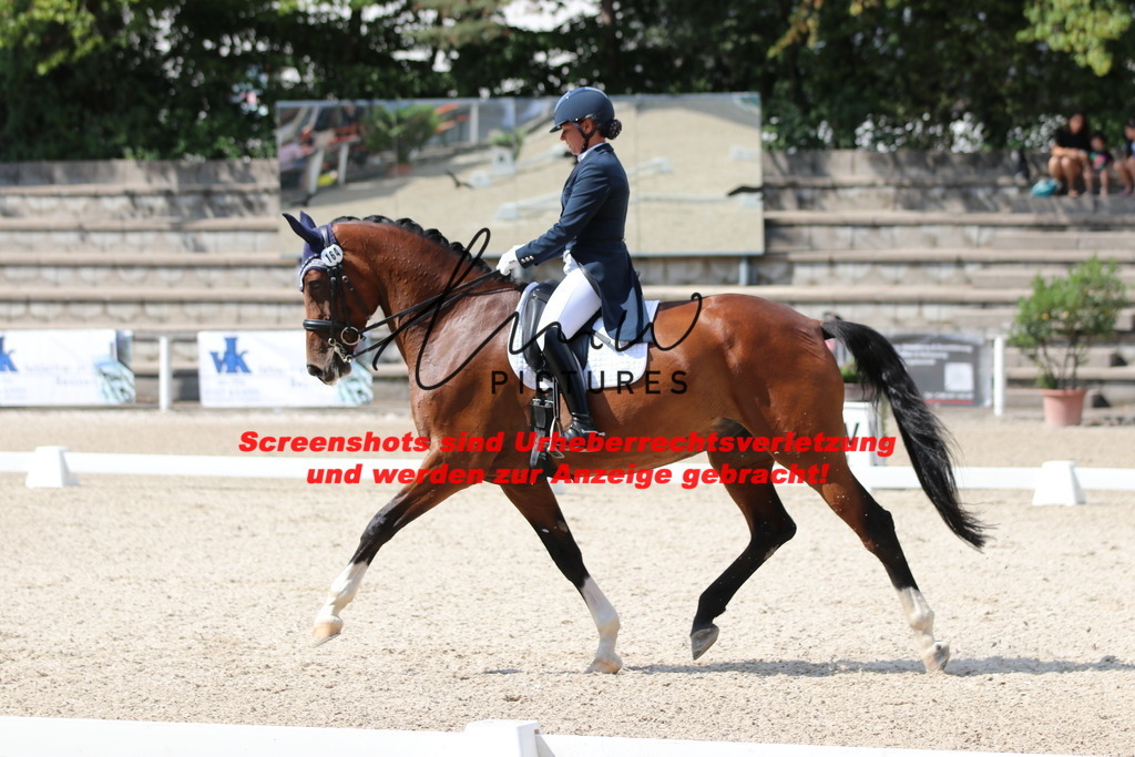 IMG_9519 | lmwpictures - Realisiert mit Pictrs.com