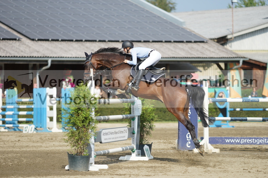 DSC03569 | equestrian-live-com