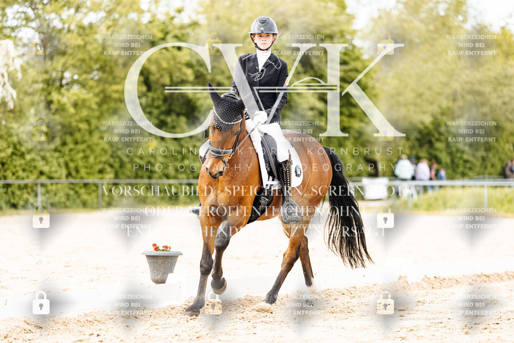 CK900881 | Turnierfotografie Pferdefotografie Trier Rheinland-Pfalz Pferdesport Reitsport Tierfotografie Sportfotografie Pferdevideo Pferdevideografie Equestrianvideography equestrianphotography  - Realisiert mit Pictrs.com