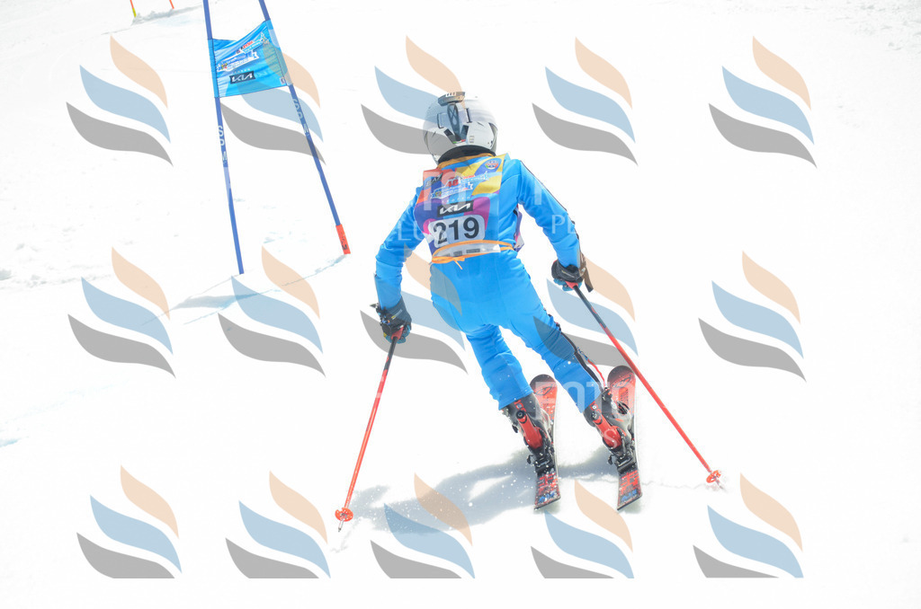 _ELE7162 | holidayphoto