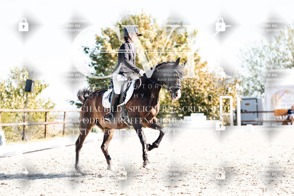 CK909073 | Turnierfotografie Pferdefotografie Trier Rheinland-Pfalz Pferdesport Reitsport Tierfotografie Sportfotografie Pferdevideo Pferdevideografie Equestrianvideography equestrianphotography  - Realisiert mit Pictrs.com
