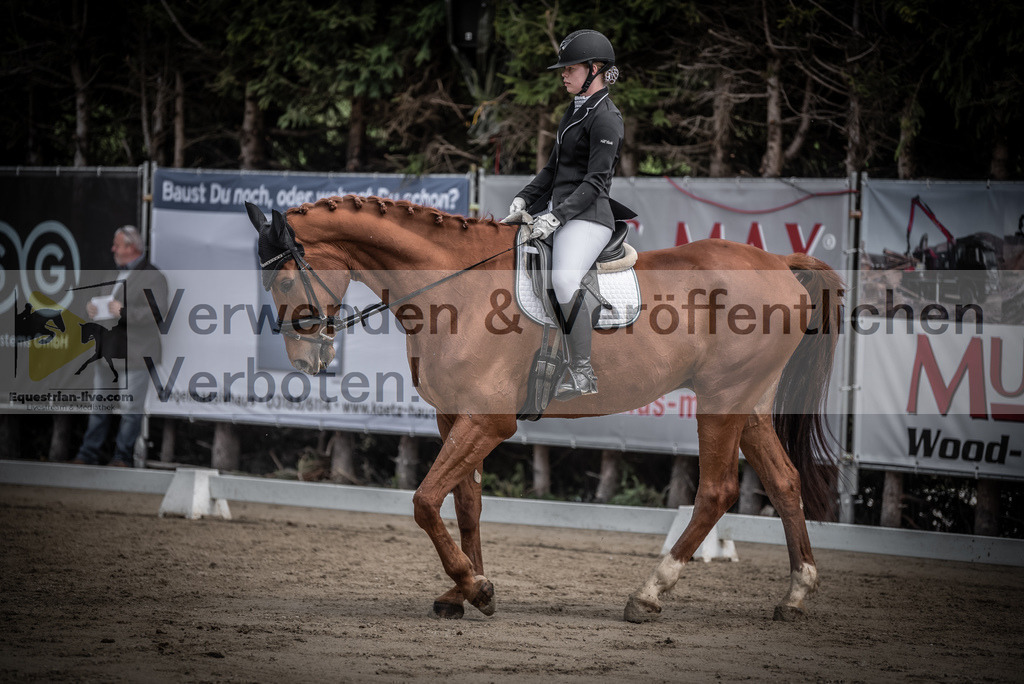 DSC_0785 | equestrian-live-com