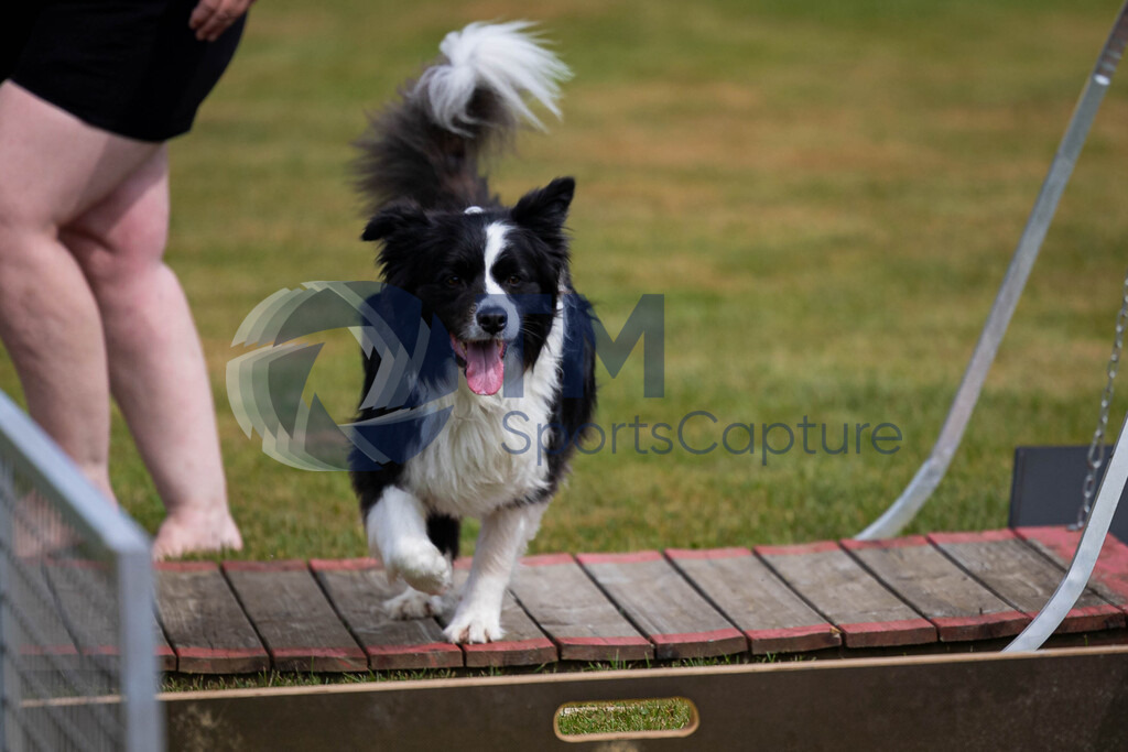 TP-20240815-0113 | Copyright: Trainproduction / Matthias Trinkl