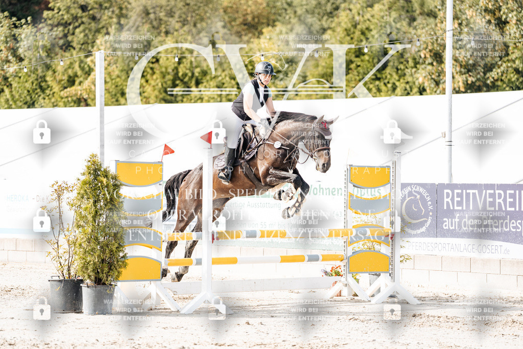 CK905676 | Turnierfotografie Pferdefotografie Trier Rheinland-Pfalz Pferdesport Reitsport Tierfotografie Sportfotografie Pferdevideo Pferdevideografie Equestrianvideography equestrianphotography  - Realisiert mit Pictrs.com