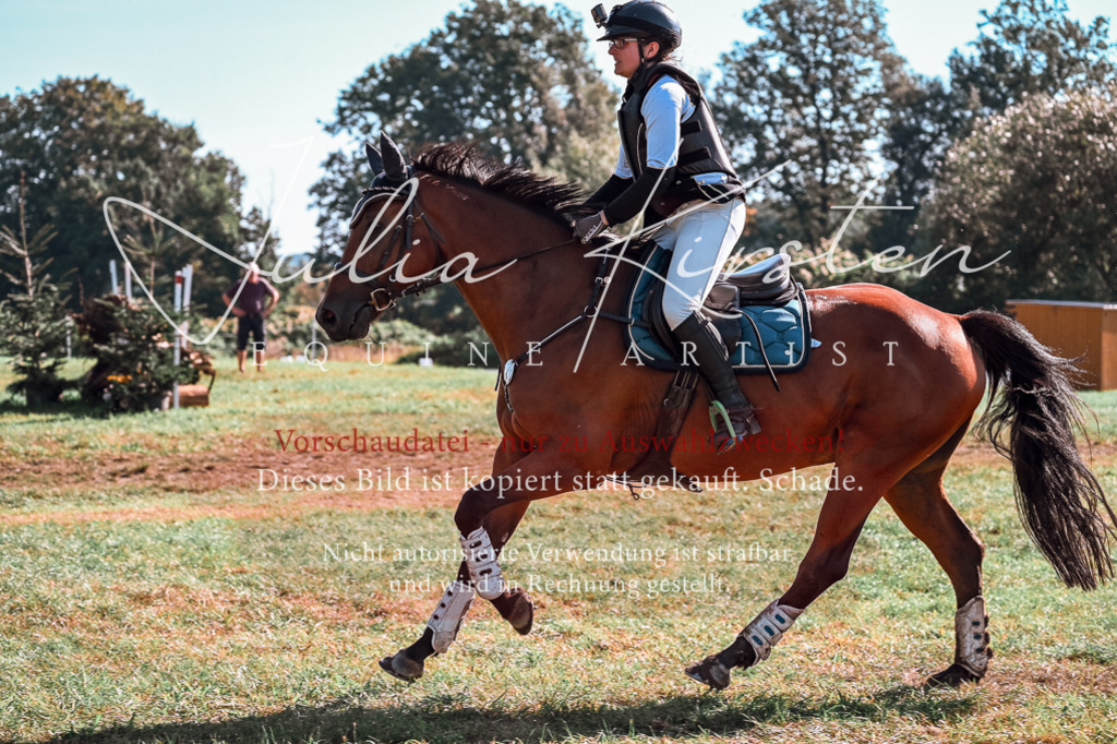 DSC_0731 | Pferde- und Turnierfotografie in Westsachsen. Pferdeportraits, Auftragszeichnungen und intuitive Kunst.