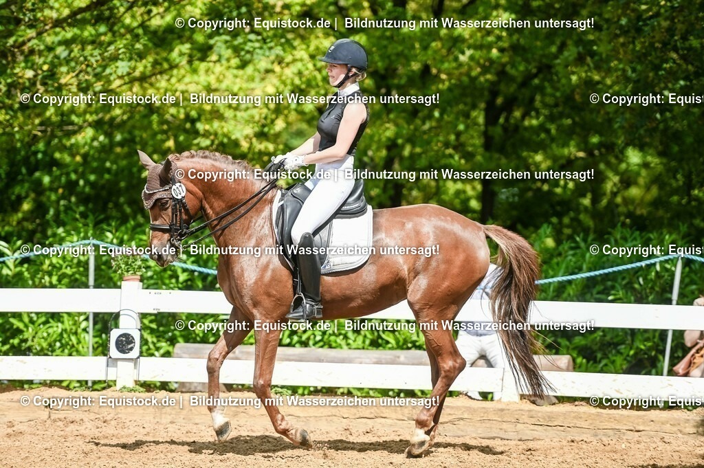 20230716_01_Dressurprüfung Kl.M_0335 | equistock