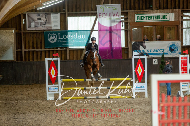 IMG_2007 | Turniersportfotografie; Pferdefotografie; Dressurfotografie
