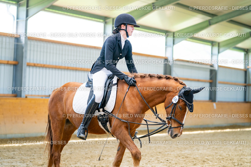 DSC08906 | Pferdegrafie