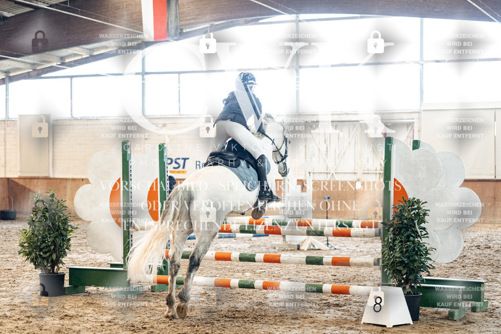 CK904839 | Turnierfotografie Pferdefotografie Trier Rheinland-Pfalz Pferdesport Reitsport Tierfotografie Sportfotografie Pferdevideo Pferdevideografie Equestrianvideography equestrianphotography  - Realized with Pictrs.com