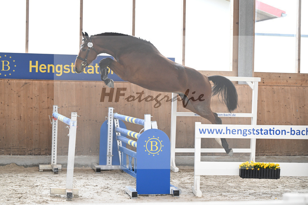 Kat-Nr. 58 Tares Z v. Taycan B_Schaedelbauer_14260294 | hf-fotografie - Realizzato con Pictrs.com