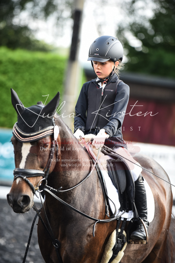 DSC_3529 | Pferde- und Turnierfotografie in Westsachsen. Pferdeportraits, Auftragszeichnungen und intuitive Kunst.