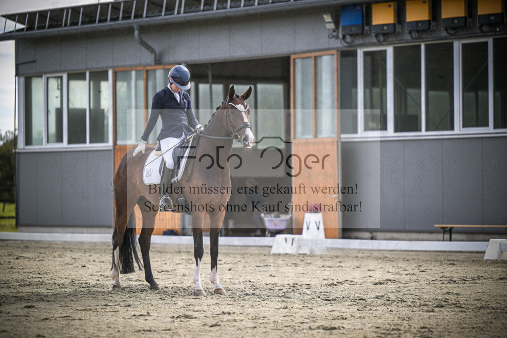 DOS_2072 | Entdecke hochwertige Reitturnierfotos von Foto Oger. Professionell, emotional und authentisch – jetzt Lieblingsmomente im Shop bestellen.Deutschlandweite Turnierfotografie. - Realisiert mit Pictrs.com