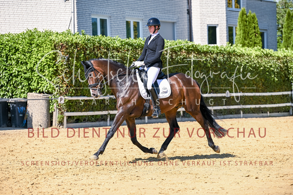 Schugtsche-Aluta25-50.Dressurpferdeprf.L-65 | Schugtsche Fotografie - Realisiert mit Pictrs.com