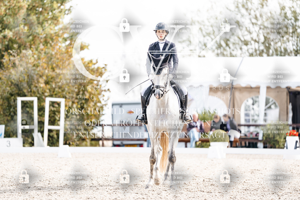 CK901998 | Turnierfotografie Pferdefotografie Trier Rheinland-Pfalz Pferdesport Reitsport Tierfotografie Sportfotografie Pferdevideo Pferdevideografie Equestrianvideography equestrianphotography  - Realisiert mit Pictrs.com