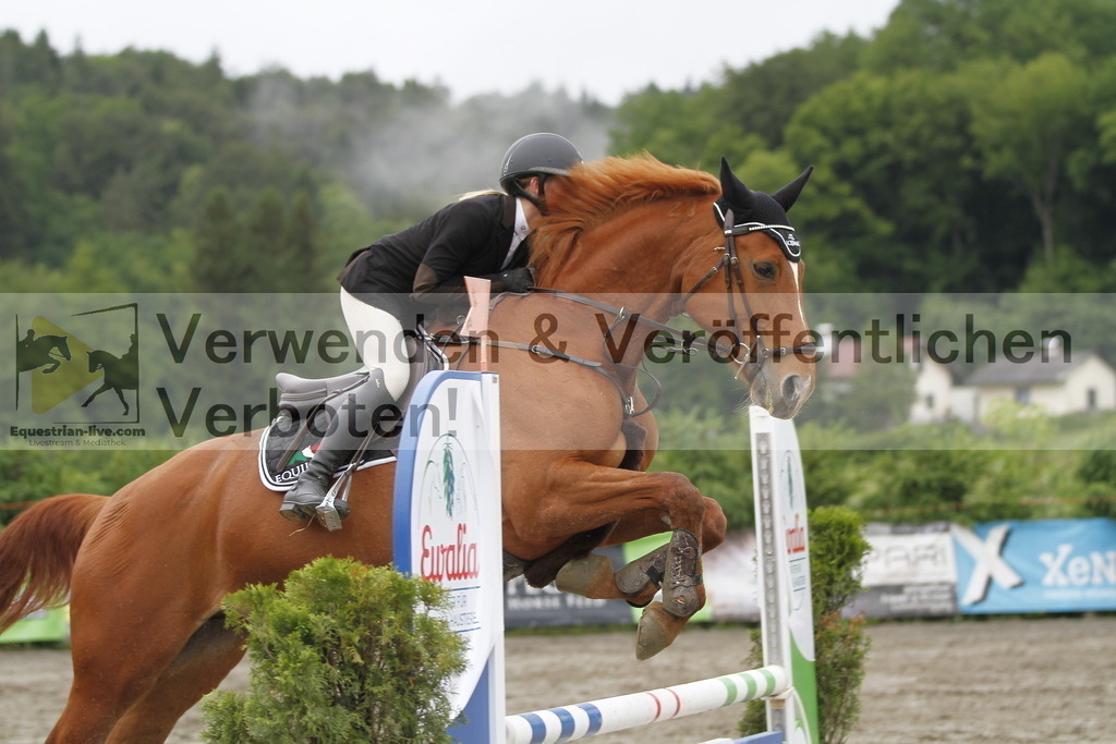 _MG_3763 | equestrian-live-com