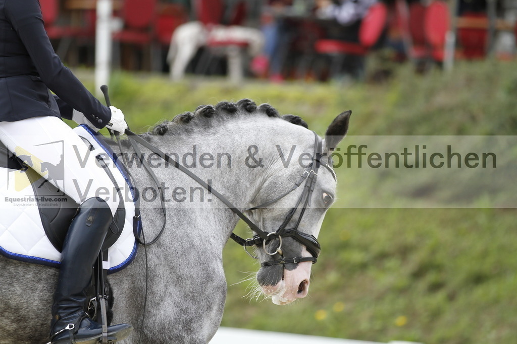 _MG_4429 | equestrian-live-com