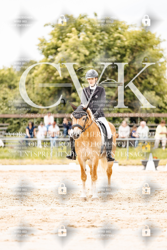 CK903024 | Turnierfotografie Pferdefotografie Trier Rheinland-Pfalz Pferdesport Reitsport Tierfotografie Sportfotografie Pferdevideo Pferdevideografie Equestrianvideography equestrianphotography  - Realisiert mit Pictrs.com