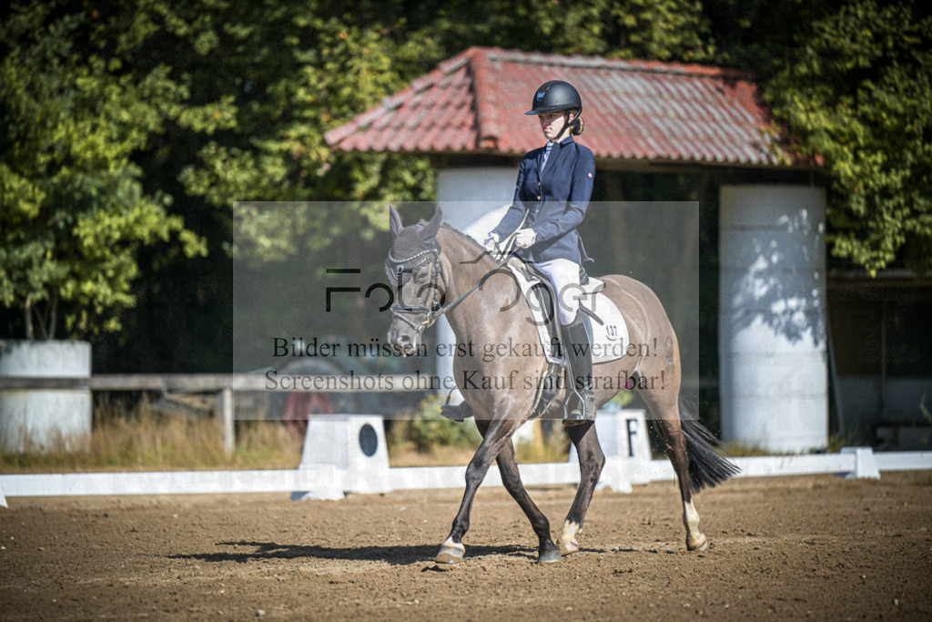 DOS_3141 | Entdecke hochwertige Reitturnierfotos von Foto Oger. Professionell, emotional und authentisch – jetzt Lieblingsmomente im Shop bestellen.Deutschlandweite Turnierfotografie. - Realisiert mit Pictrs.com