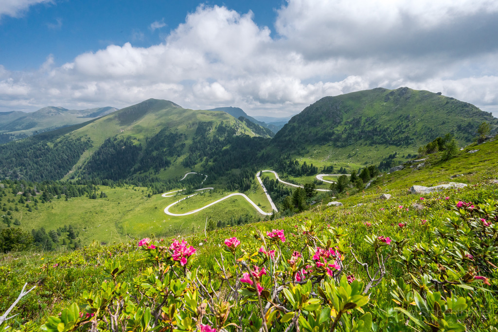 Nockalmstraße | Nockalmstraße: Naturerlebnis im Biosphärenpark Nockberge in Kärnten / Österreich