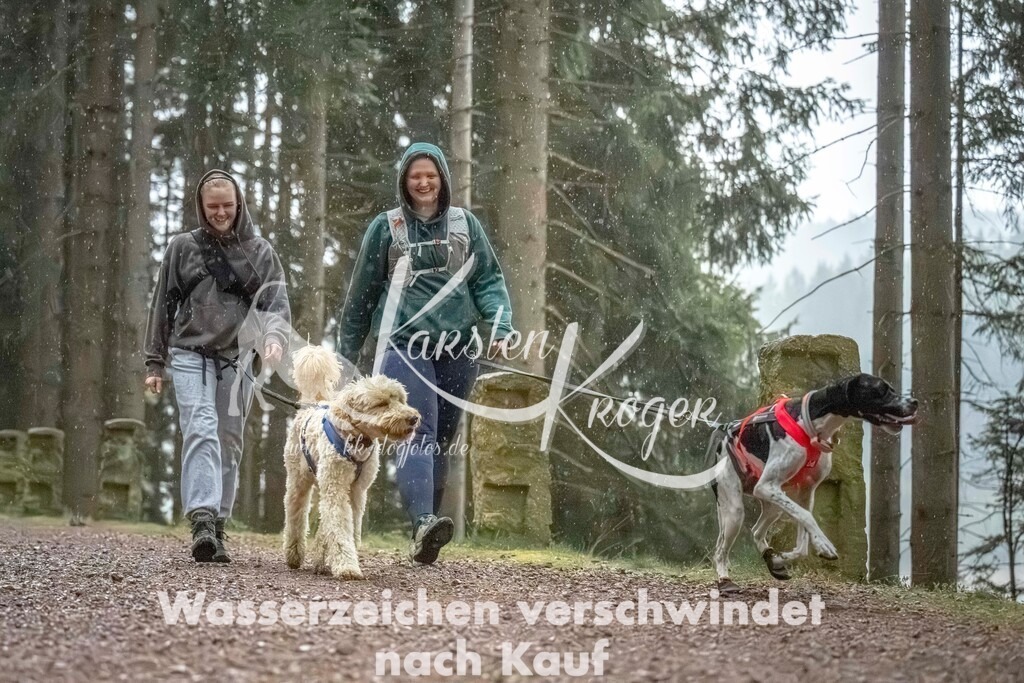 0837_ZZ92236 | kk-dogfotos
